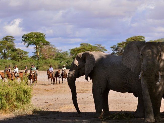 Kazkazi Horse Safaris in Tanzania