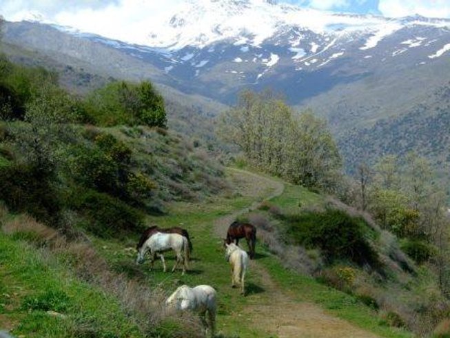 Caballo Blanco Horse Riding & Trekking Centre in Spain