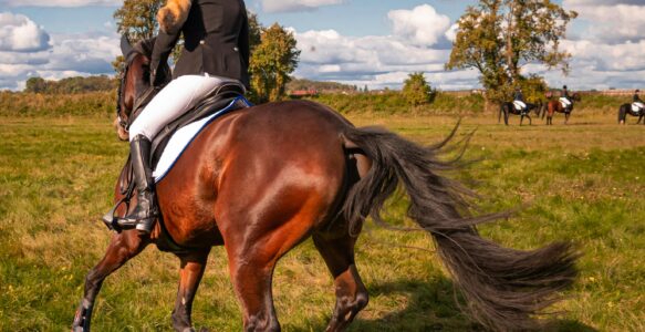 4 Magnificent Horseback Riding Retreat in Africa