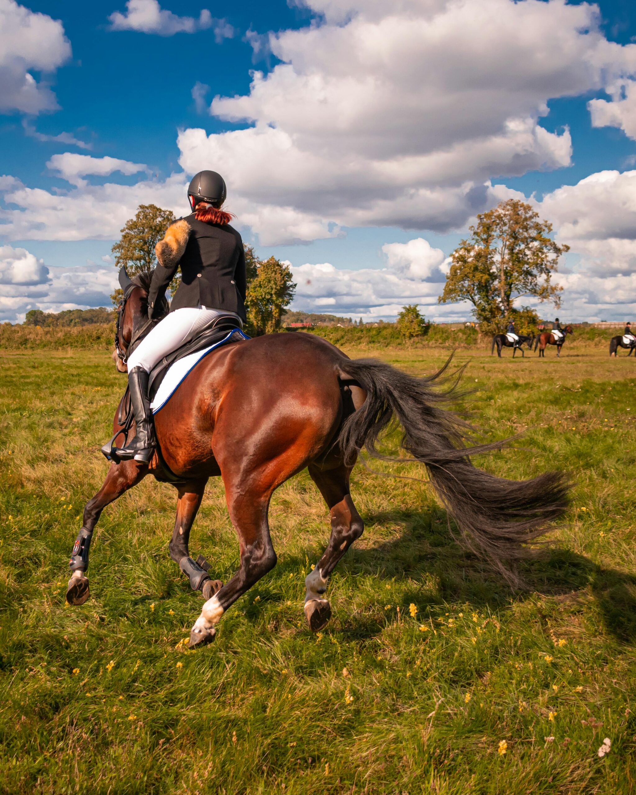 4 Magnificent Horseback Riding Retreat in Africa