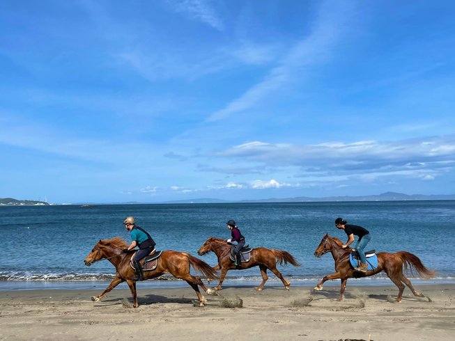 japanhorseriding