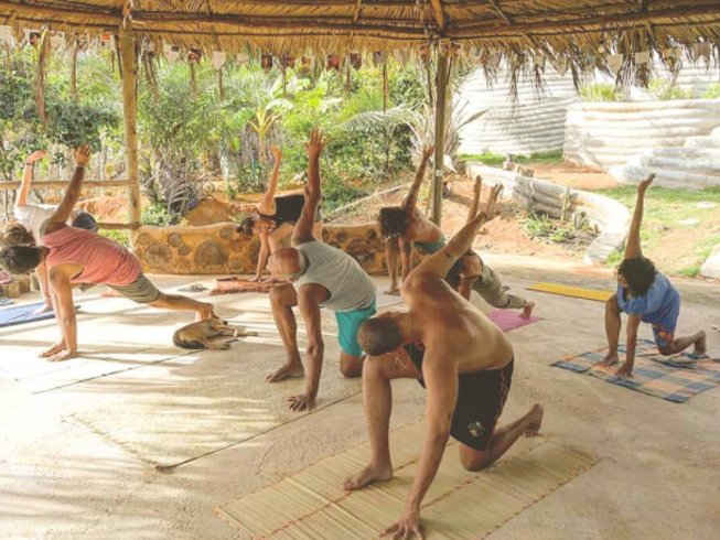 meditatinginbrazil