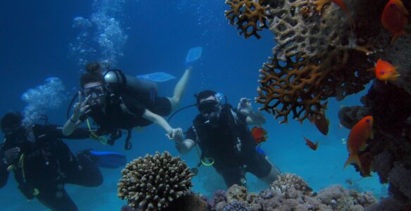 The Profound Impact of Scuba Diving