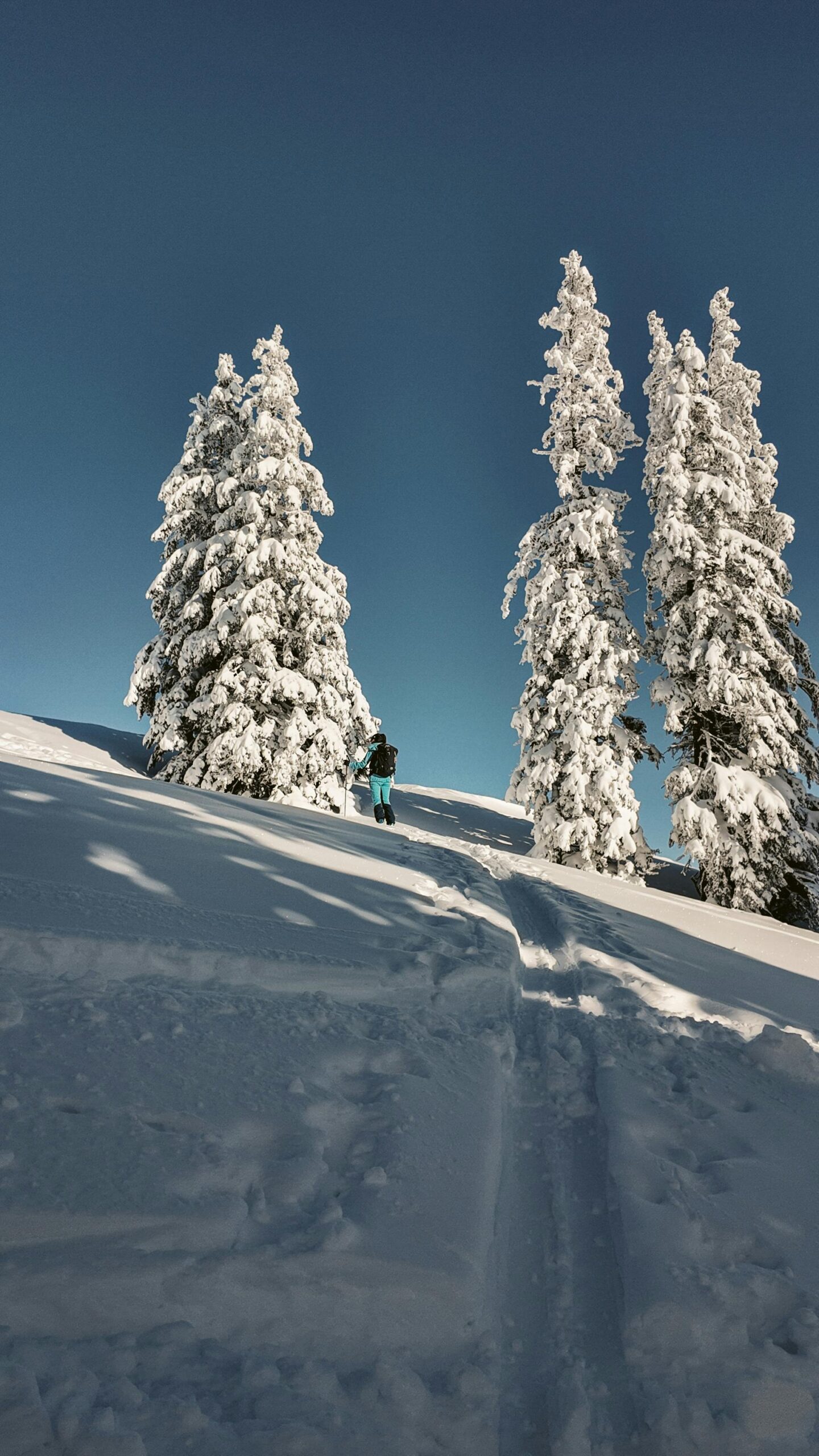 skiinginmontreal