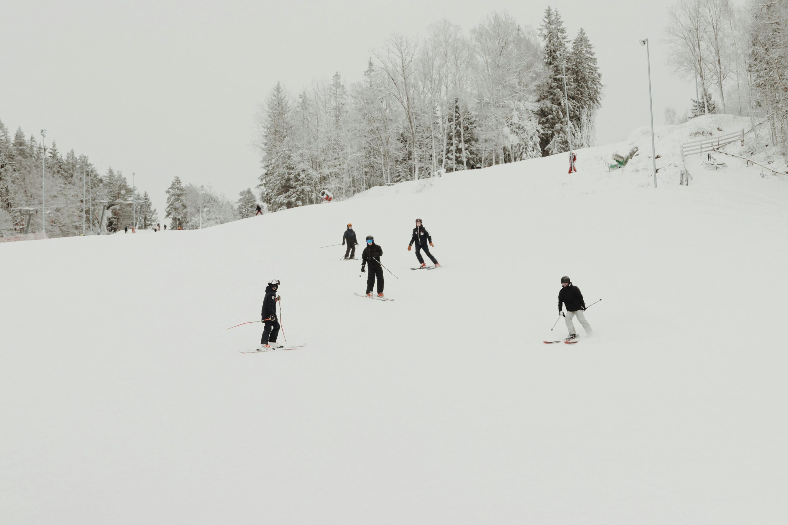 Magnificent Skiing Sanctuary in North America